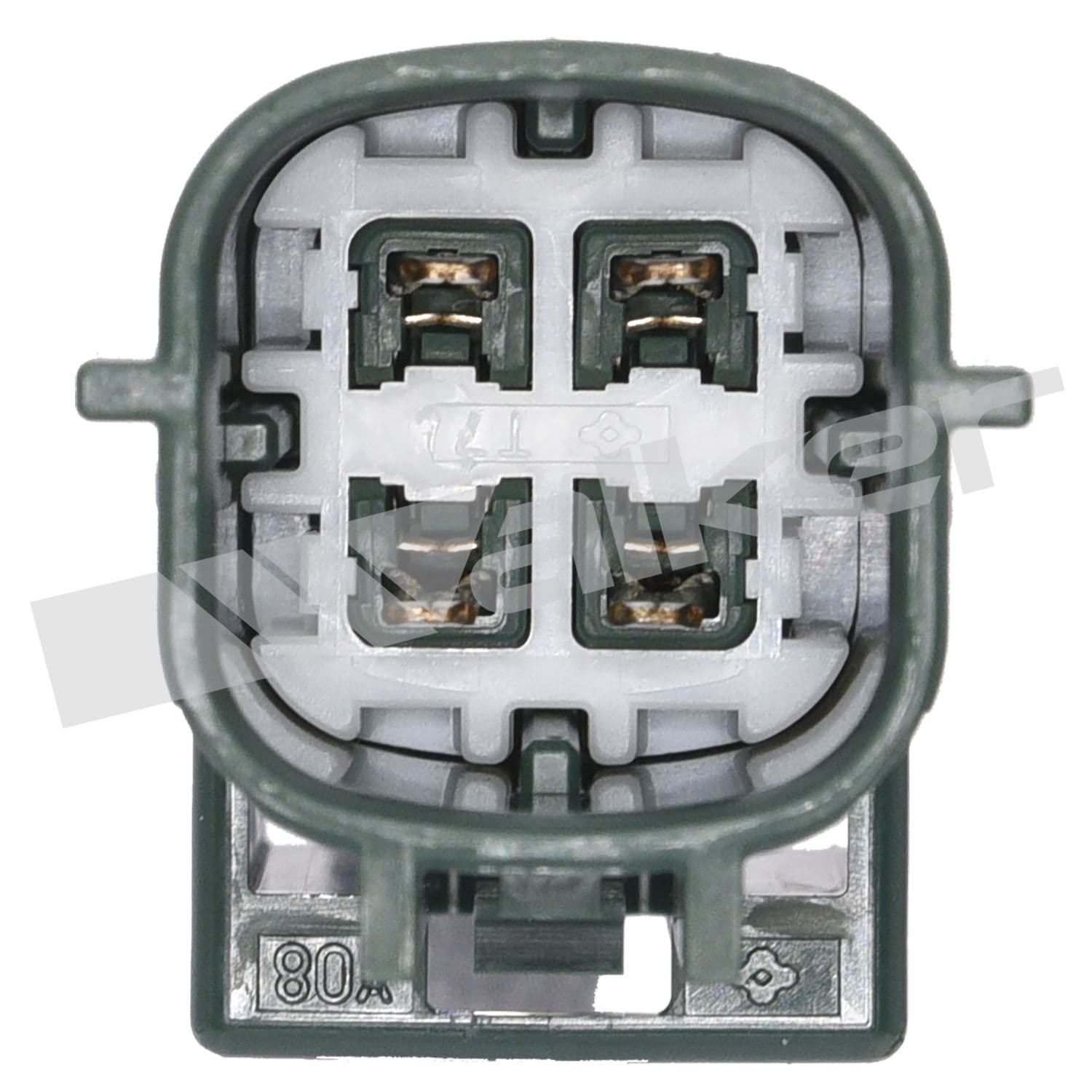 226-250-24449 - Image 4