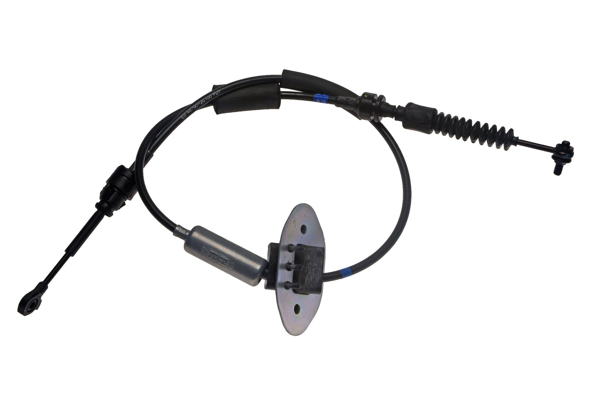 305-922-0193 - Image 1