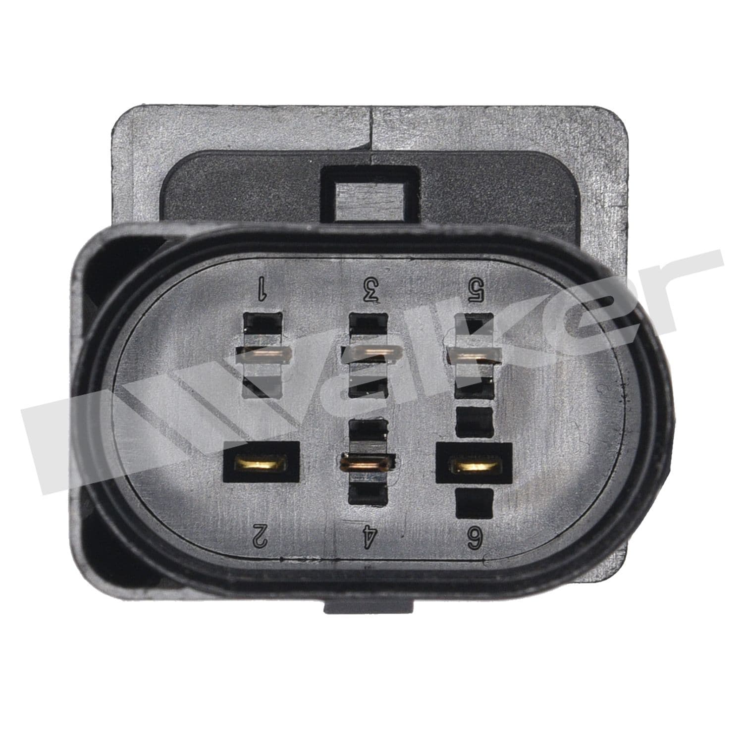 226-250-25004 - Image 2