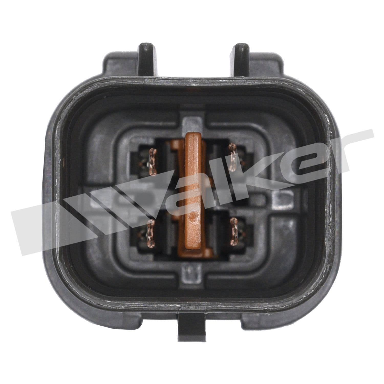 226-350-34331 - Image 3