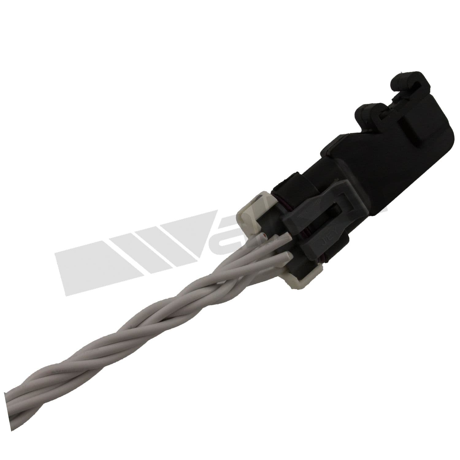 226-225-91024 - Image 2