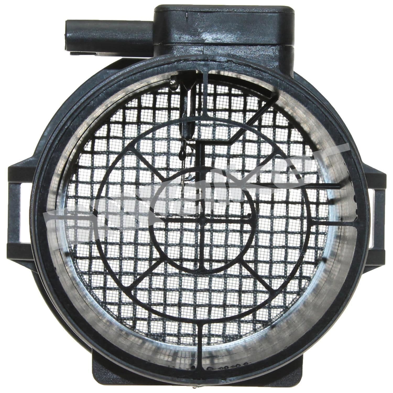 226-245-1295 - Image 4