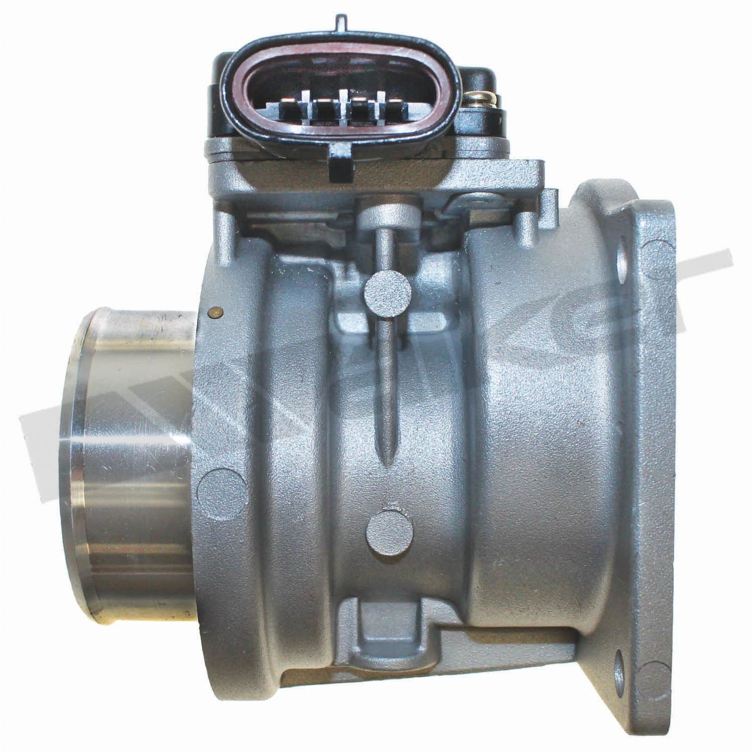 226-245-1016 - Image 4