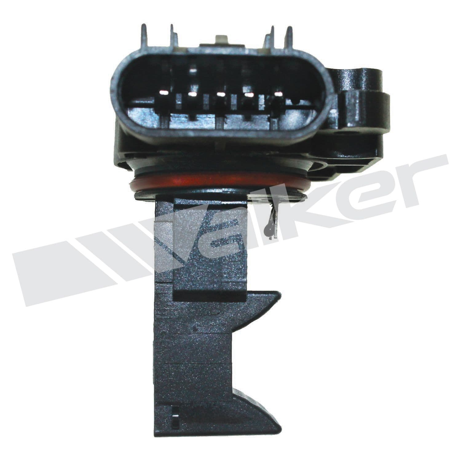 226-245-1206 - Image 3