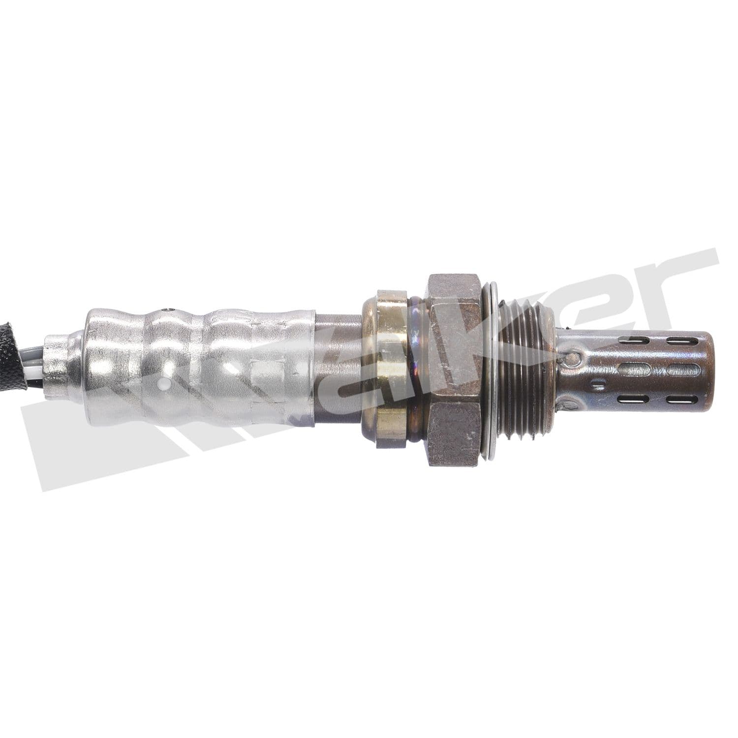 226-250-24795 - Image 3