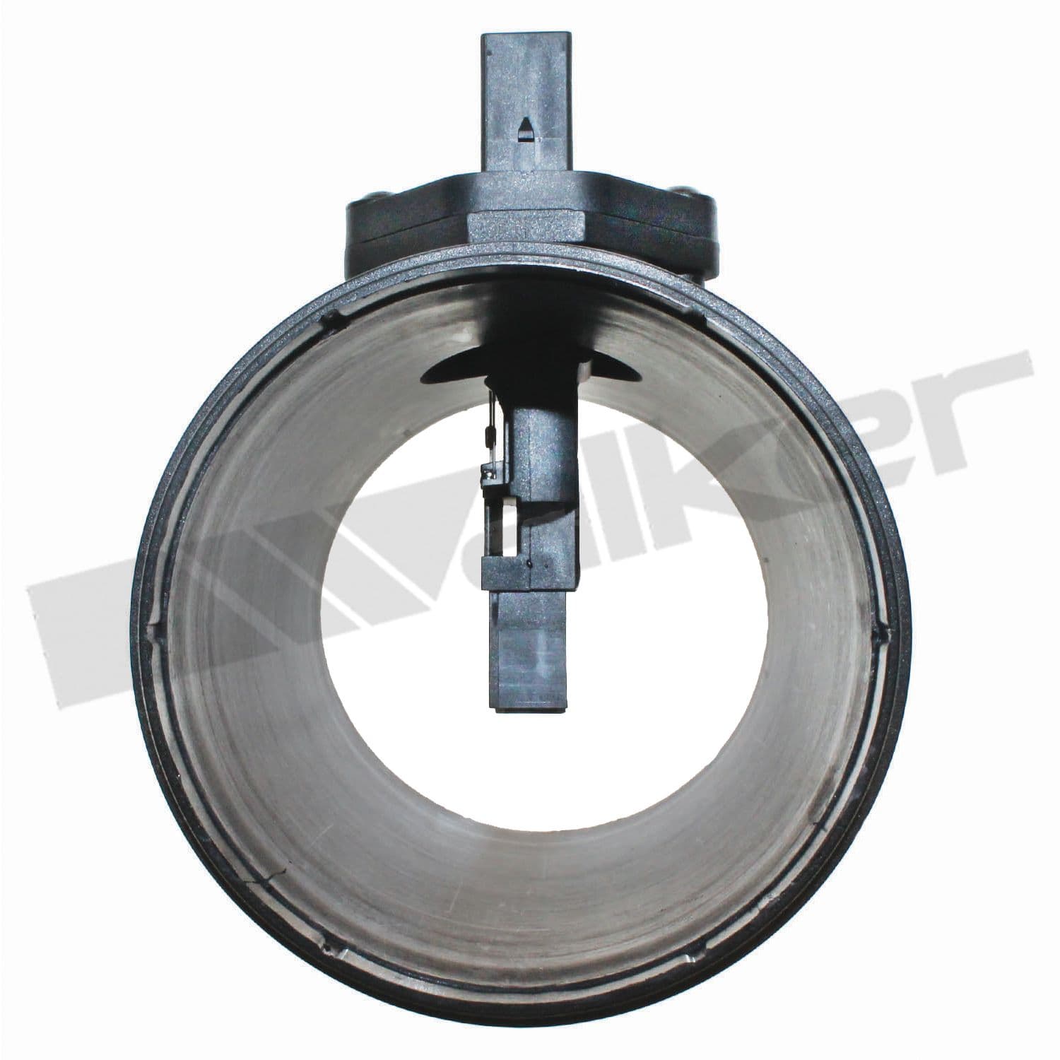 226-245-1262 - Image 2