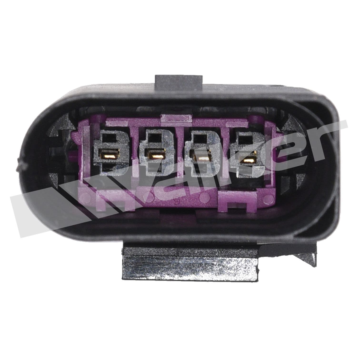 226-250-241280 - Image 3