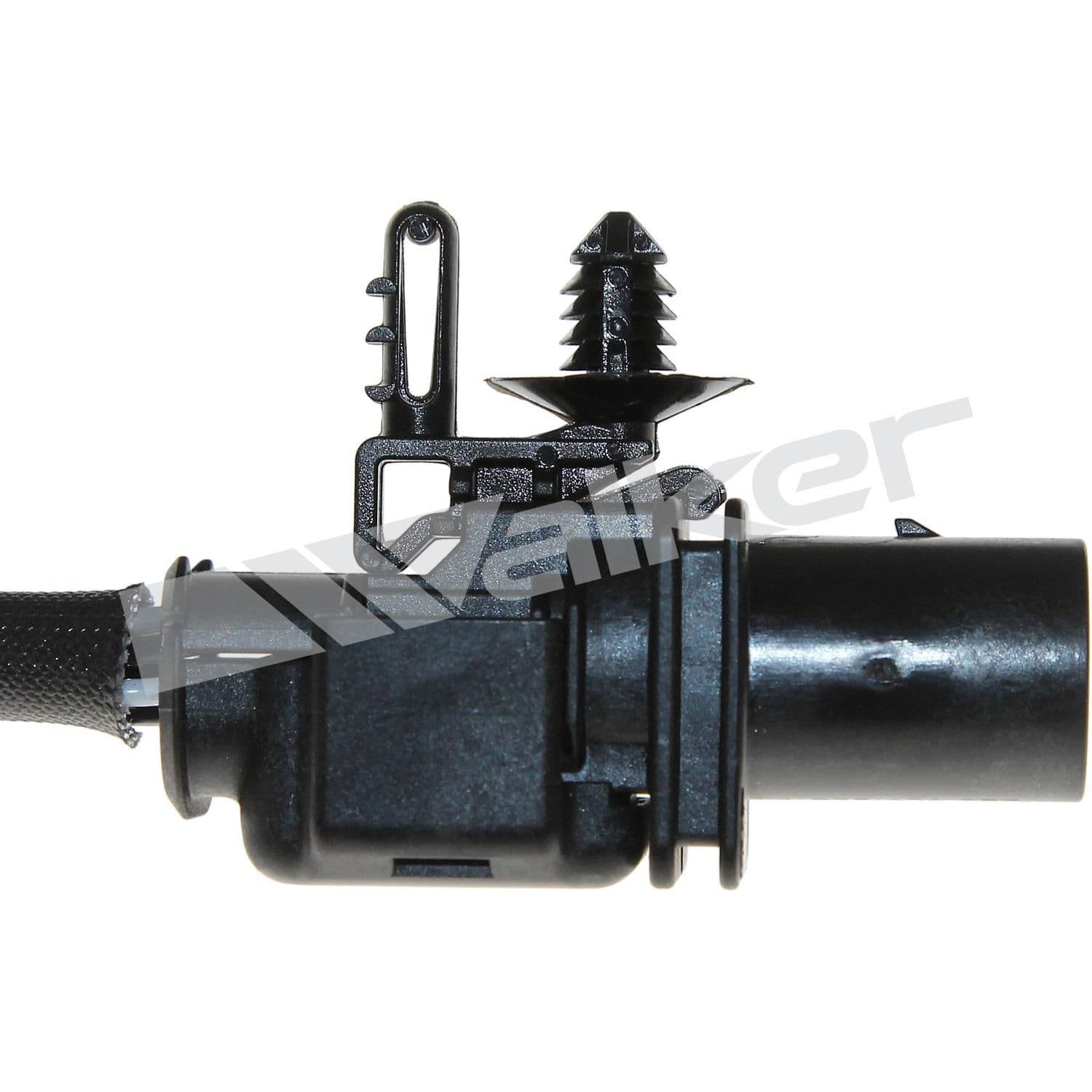 226-250-25036 - Image 3