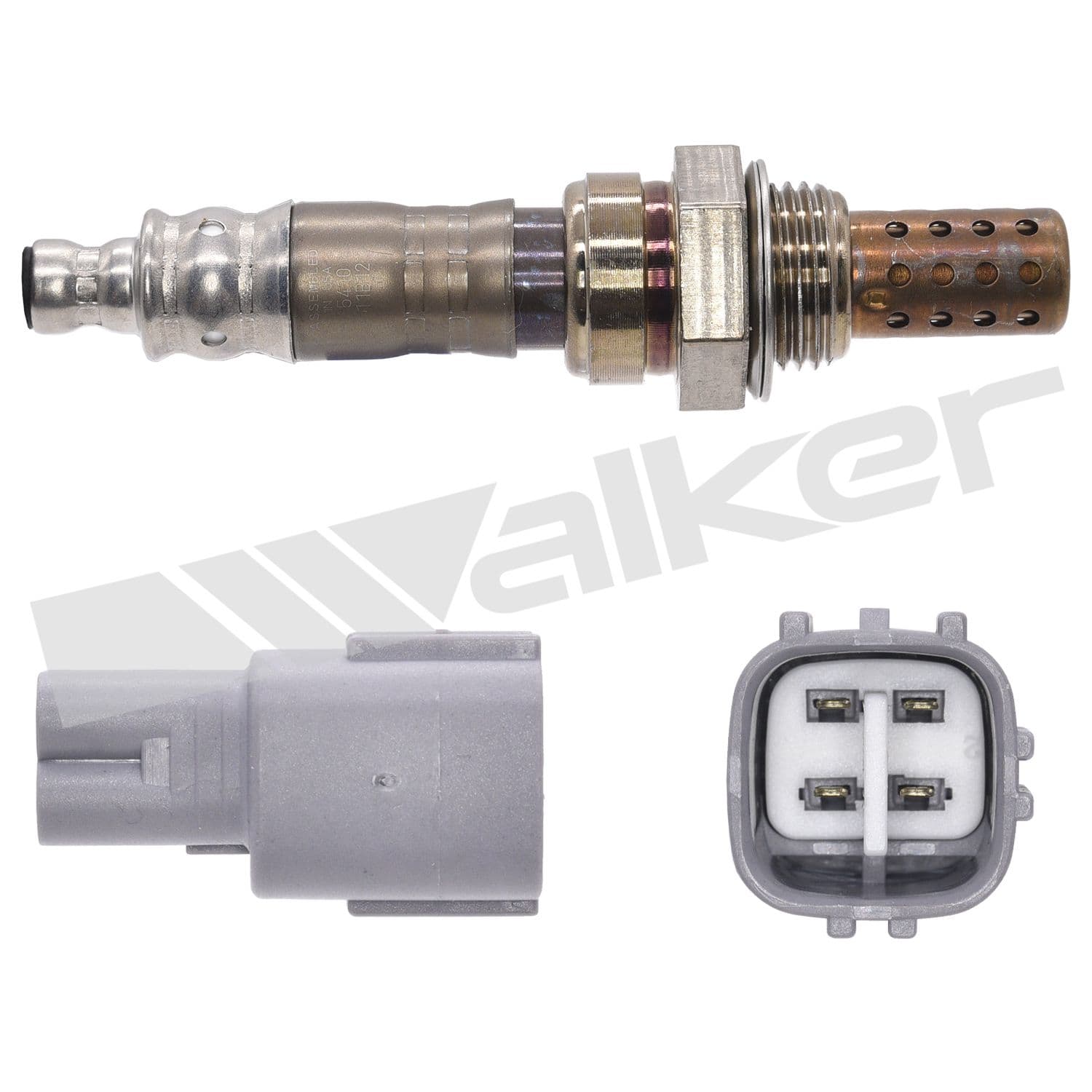 226-250-241281 - Image 3