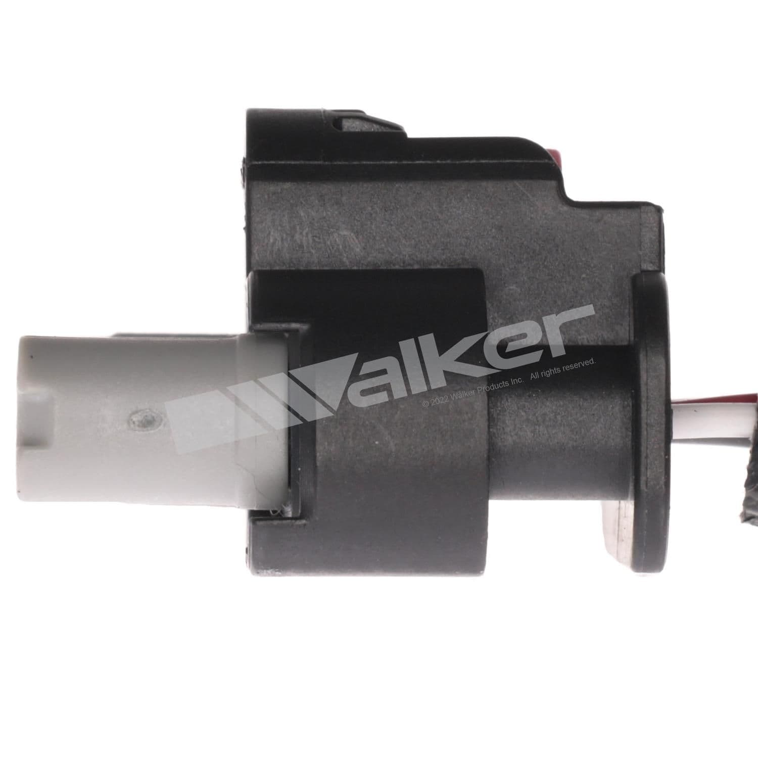 226-250-241306 - Image 4