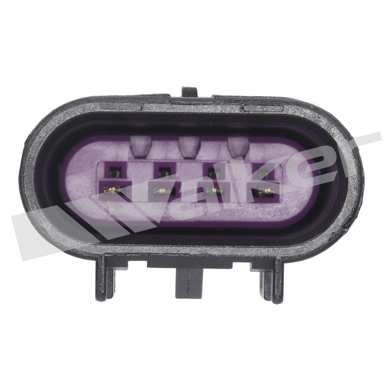 226-250-24739 - Image 3