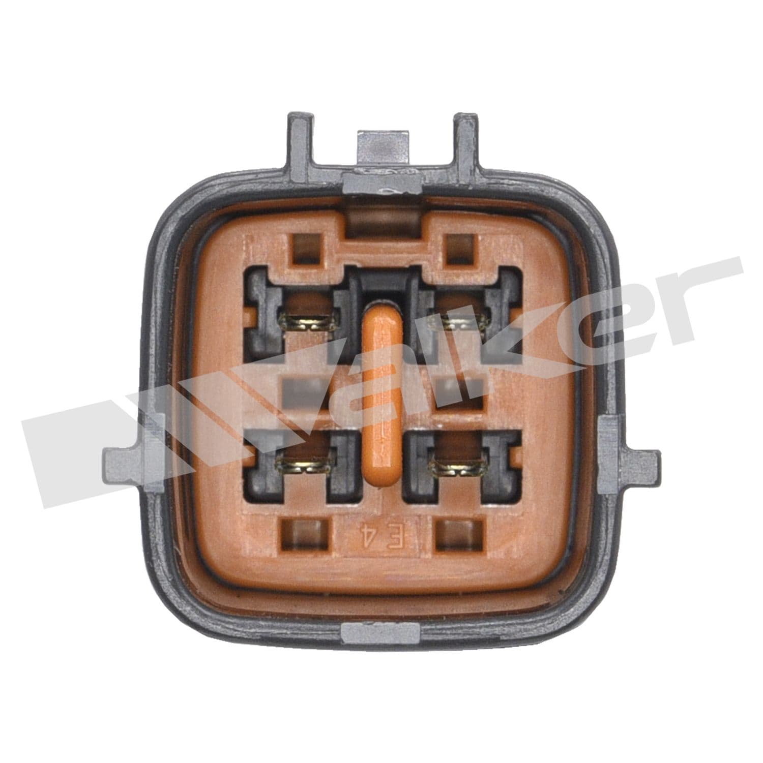 226-250-24769 - Image 4