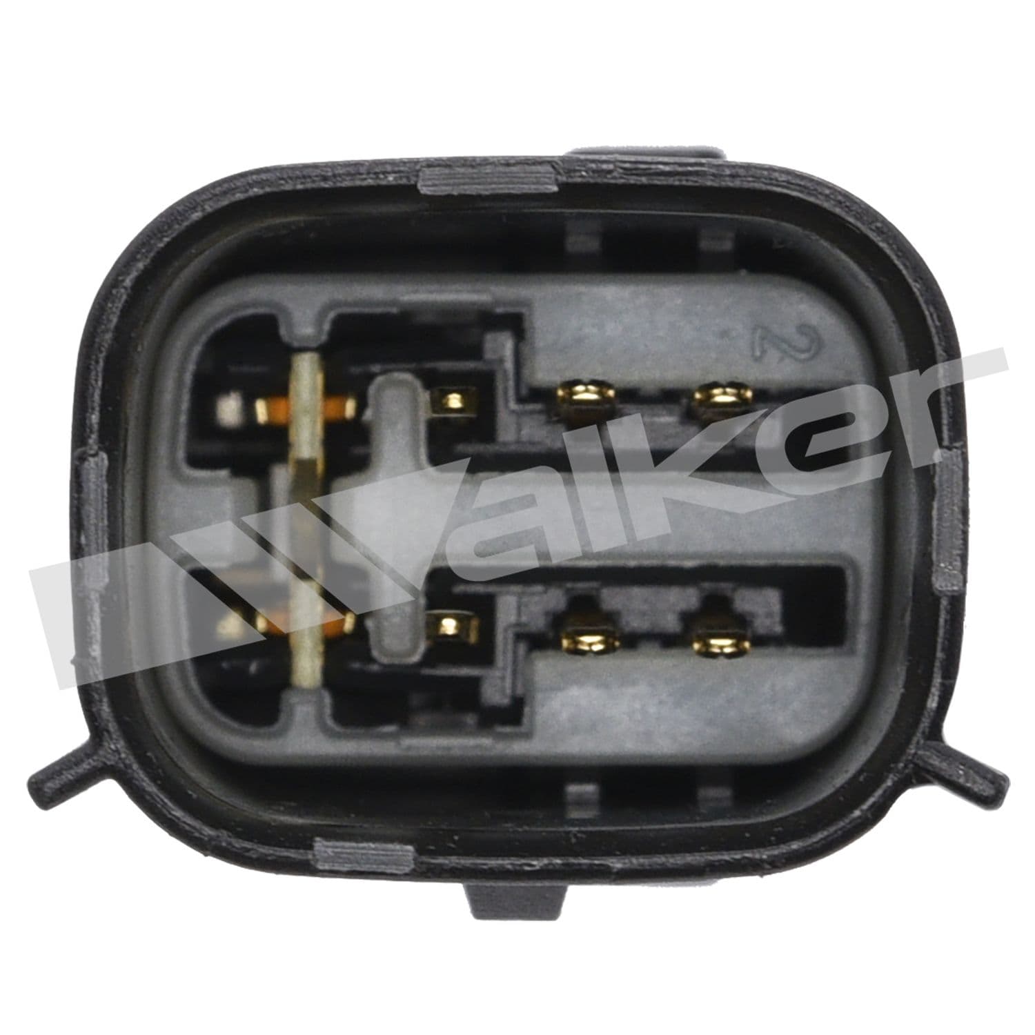 226-250-25145 - Image 4