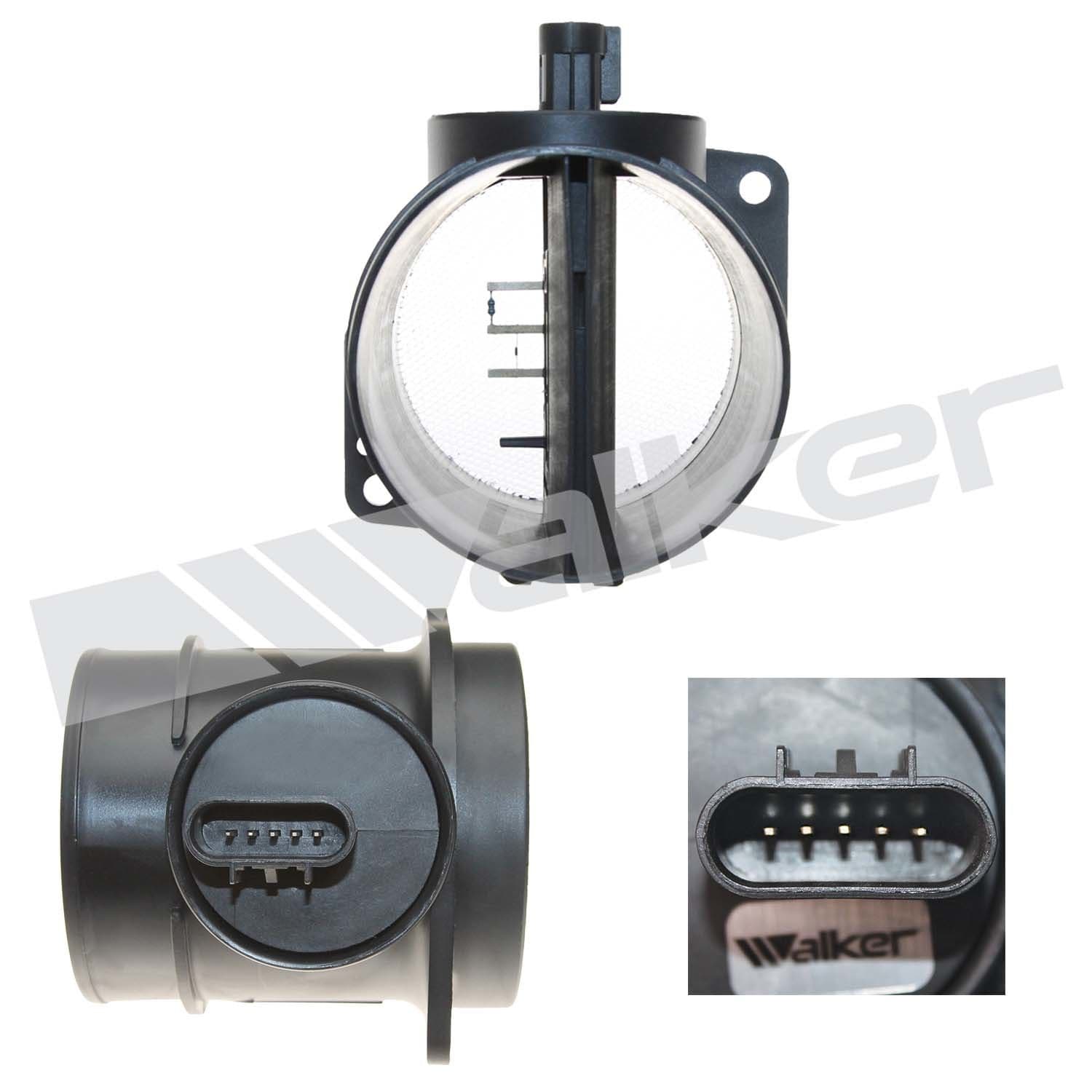 226-245-1338 - Image 2