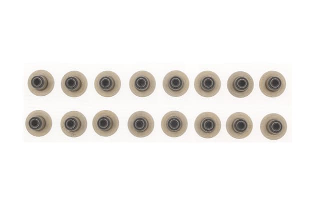 category-646-VS18-188-N16