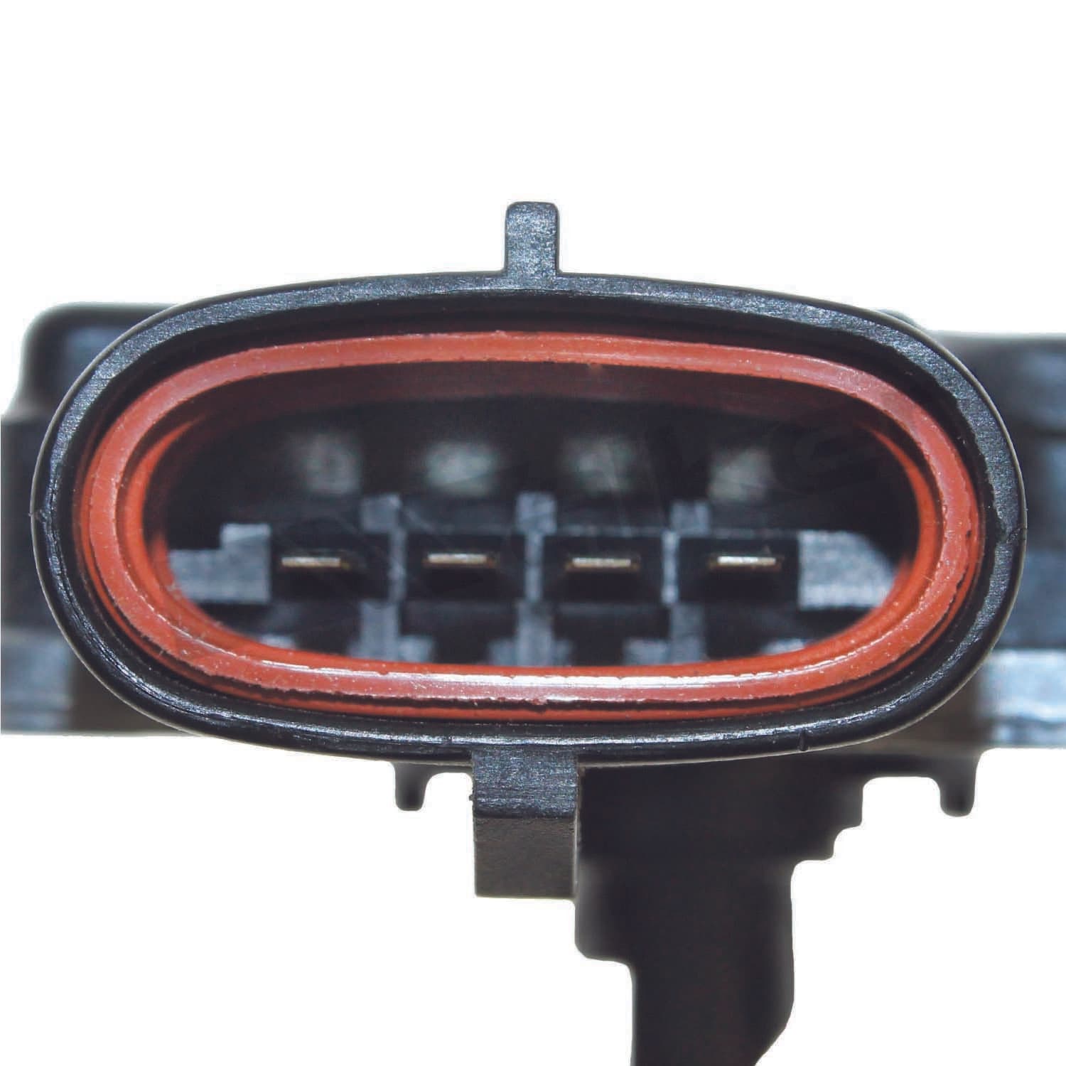 226-245-2024 - Image 3