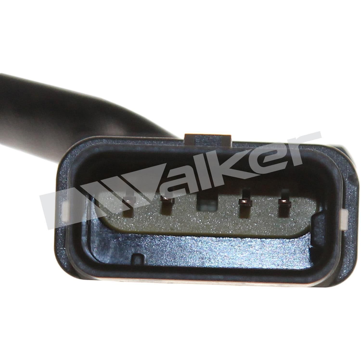 226-250-241179 - Image 4