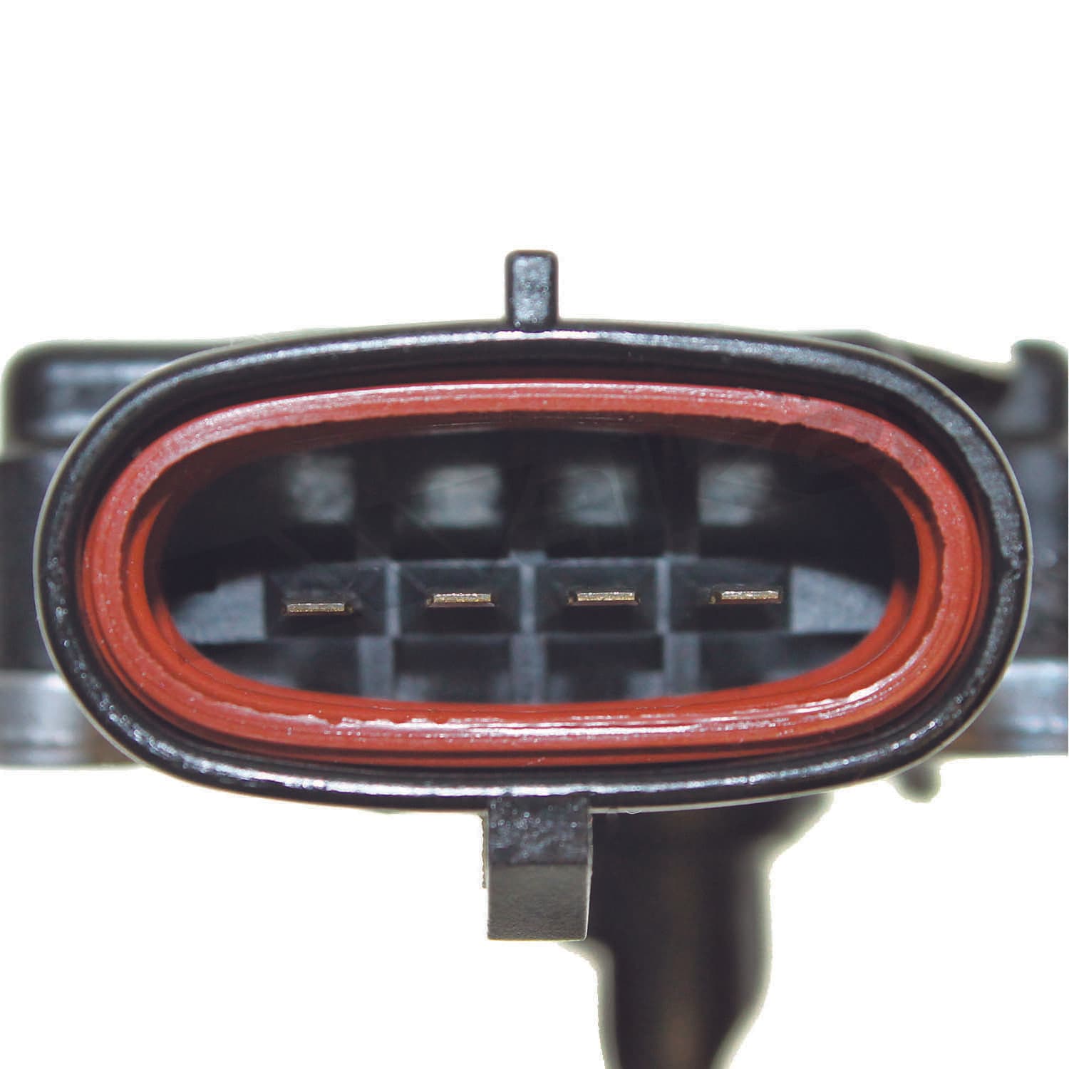 226-245-2030 - Image 2