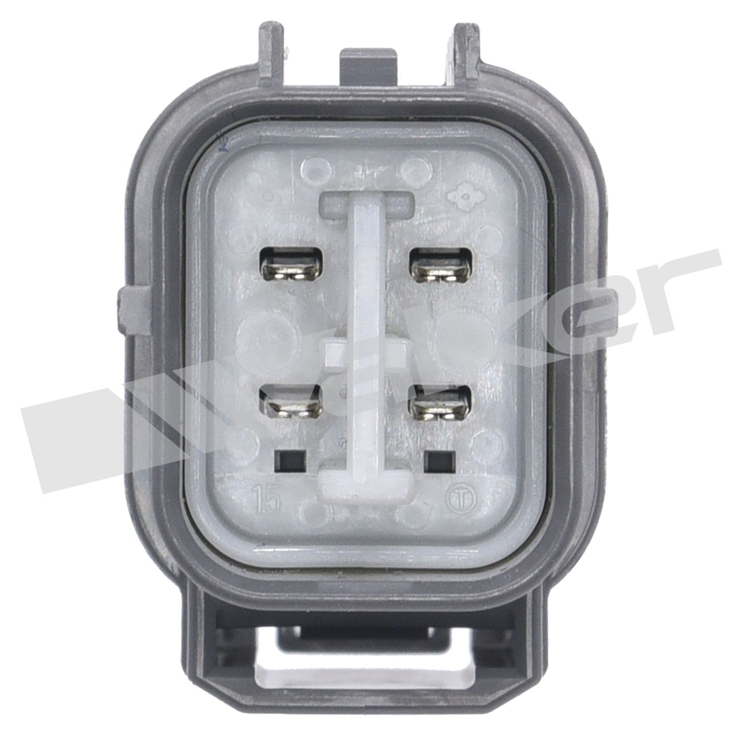 226-250-54023 - Image 3