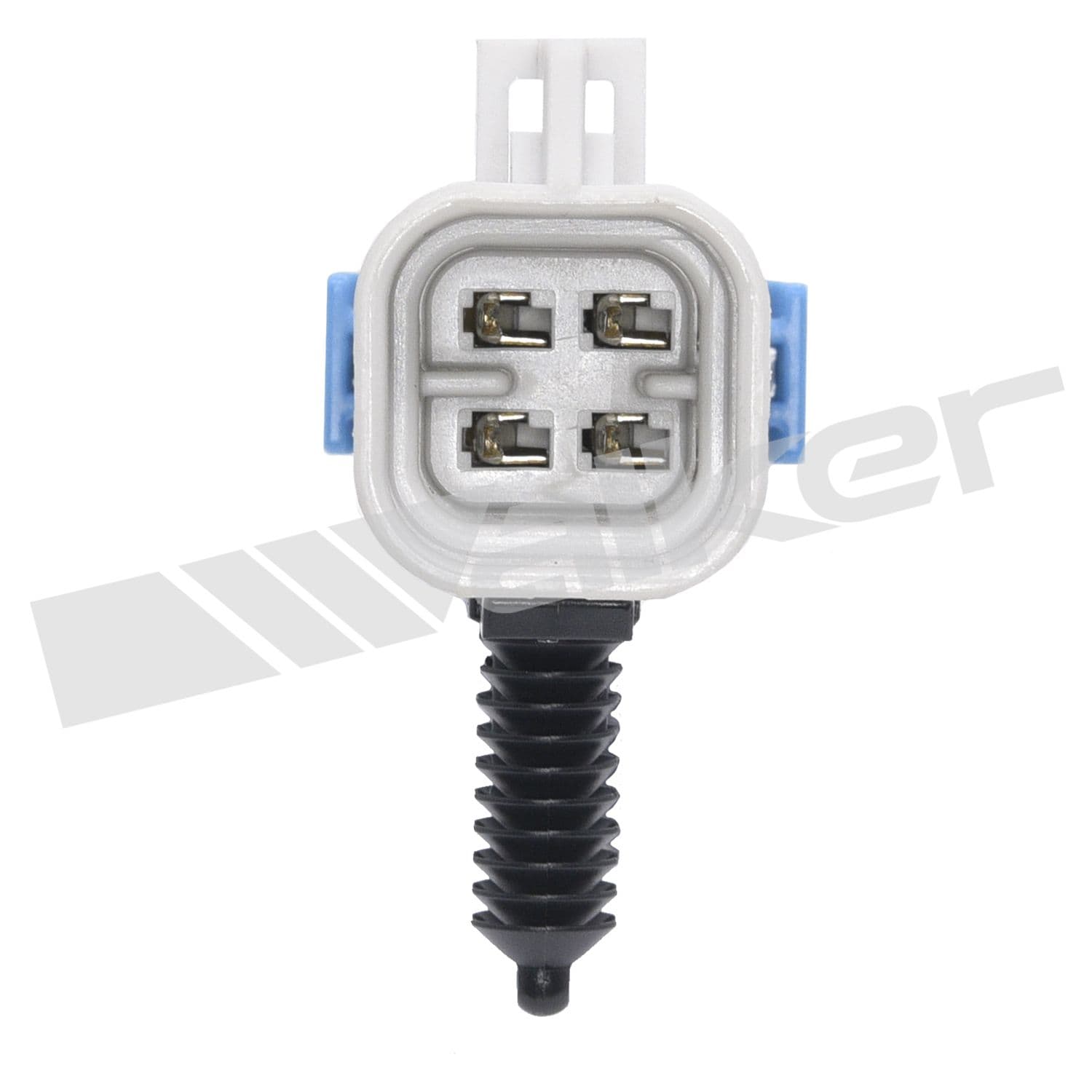 226-250-24746 - Image 4