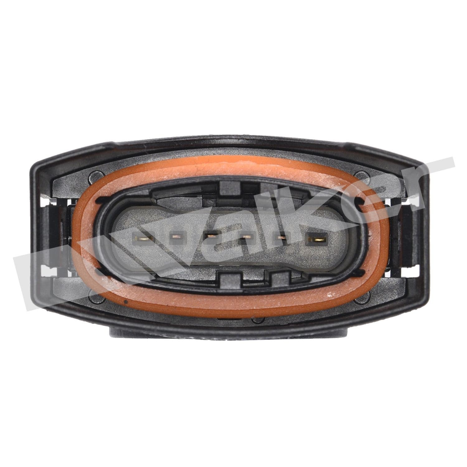 226-250-25010 - Image 3