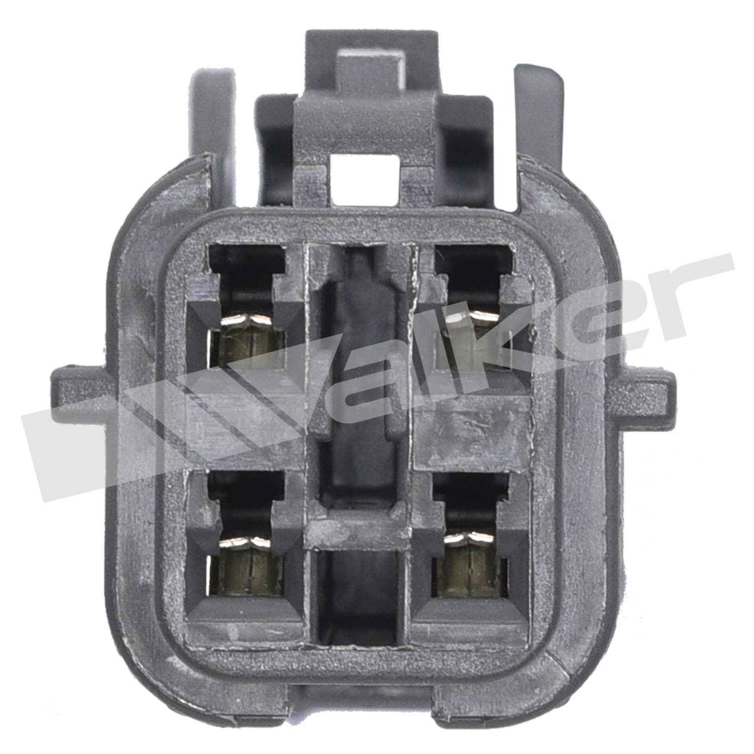 226-350-341066 - Image 3