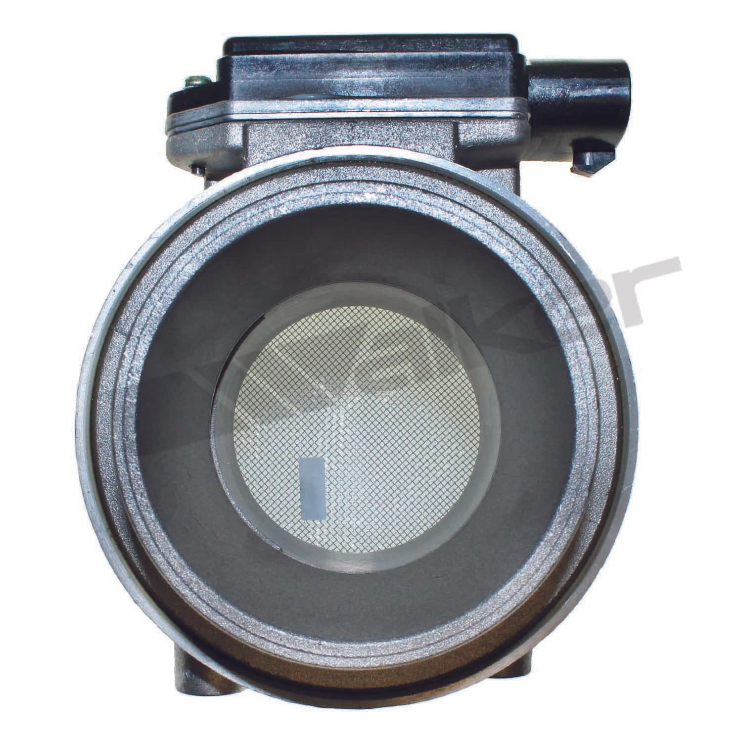 226-245-1013 - Image 4