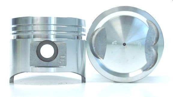 category-646-SP308-S