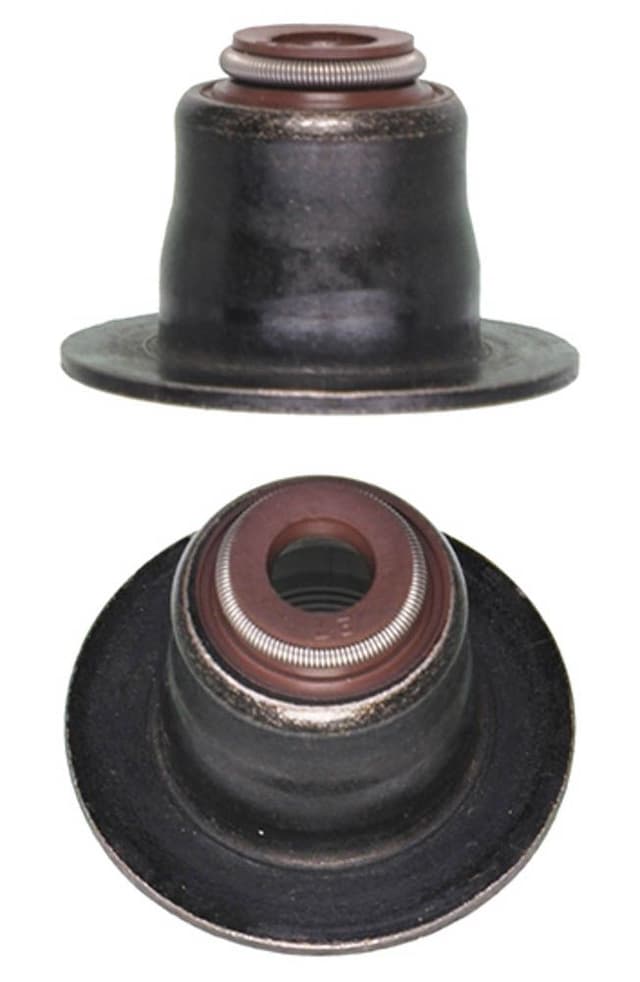 category-488-12036300