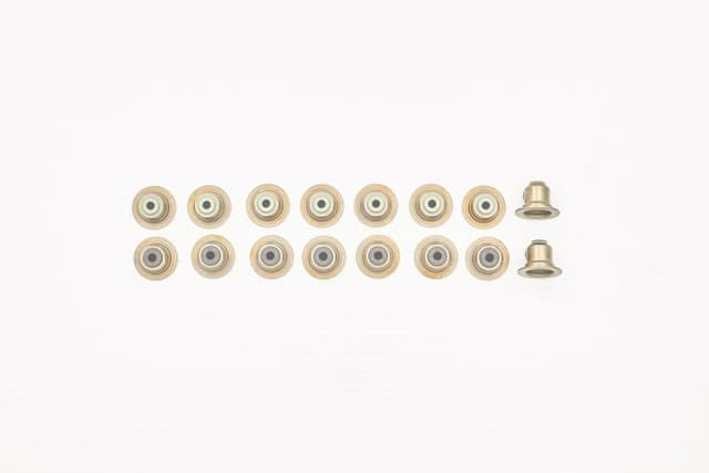 category-646-VS25-189-S16