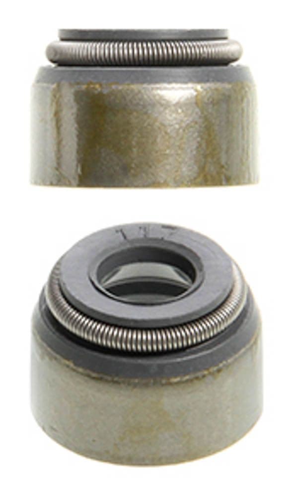 category-488-12031300