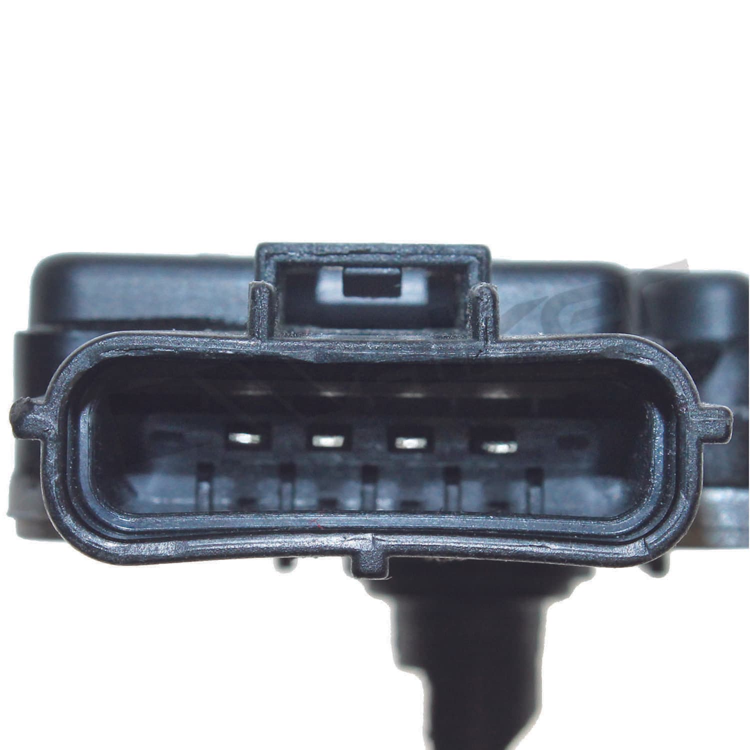 226-245-2036 - Image 4