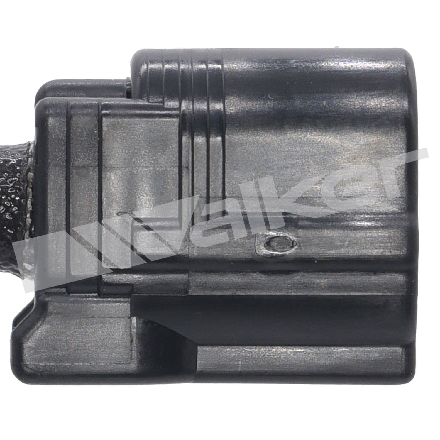 226-250-24917 - Image 4