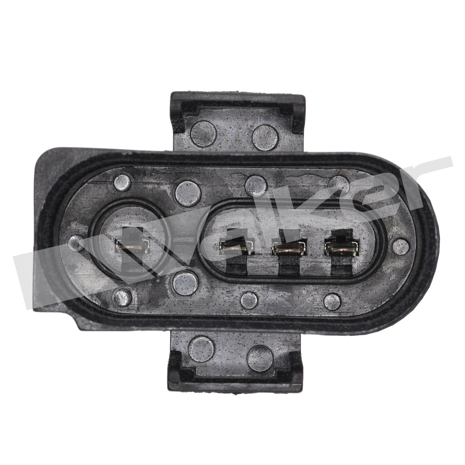 226-250-24146 - Image 2