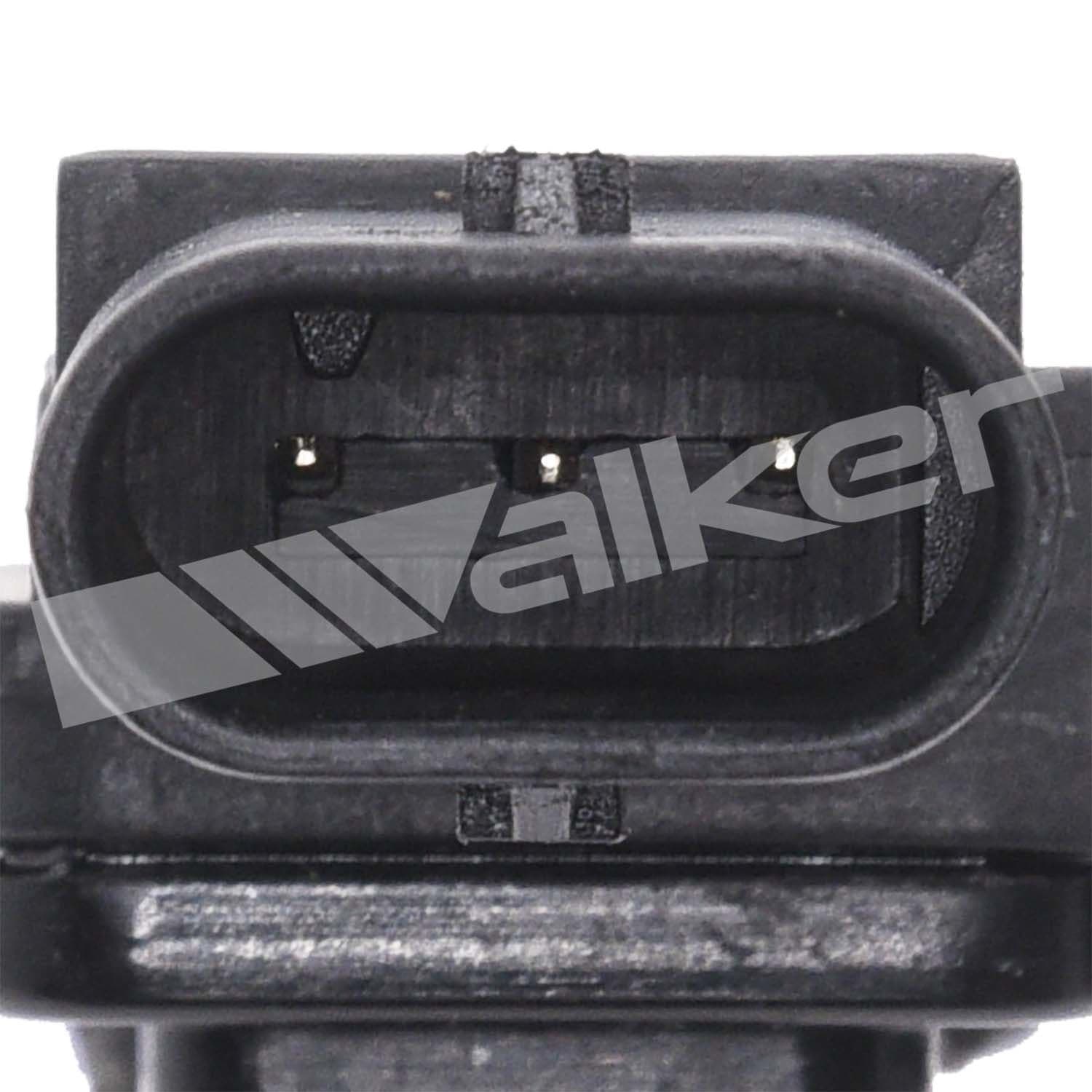 226-225-1303 - Image 4