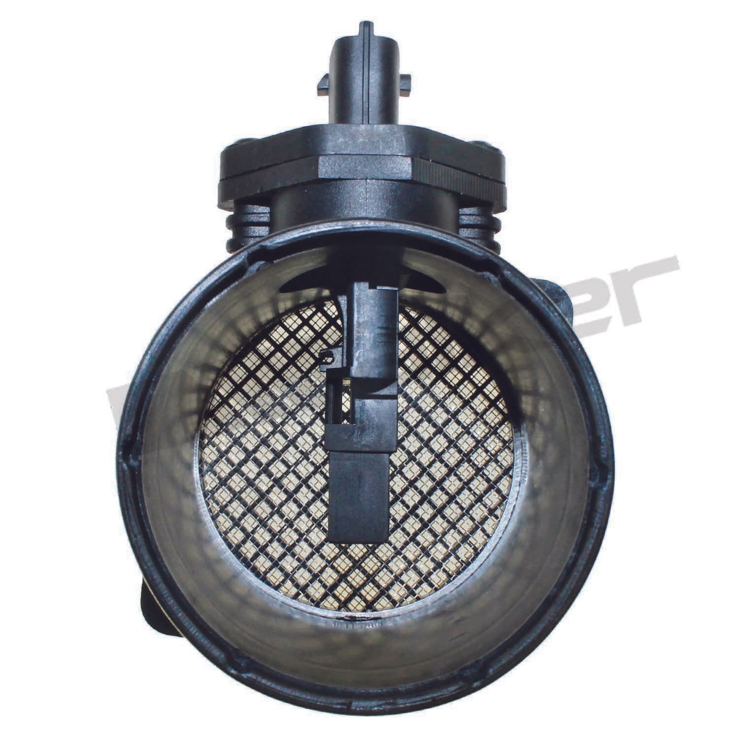 226-245-1233 - Image 4