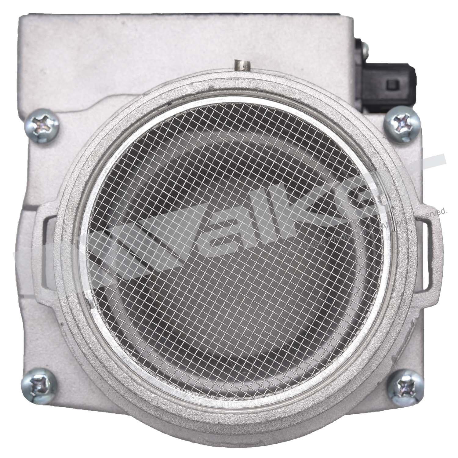 226-245-1363 - Image 2