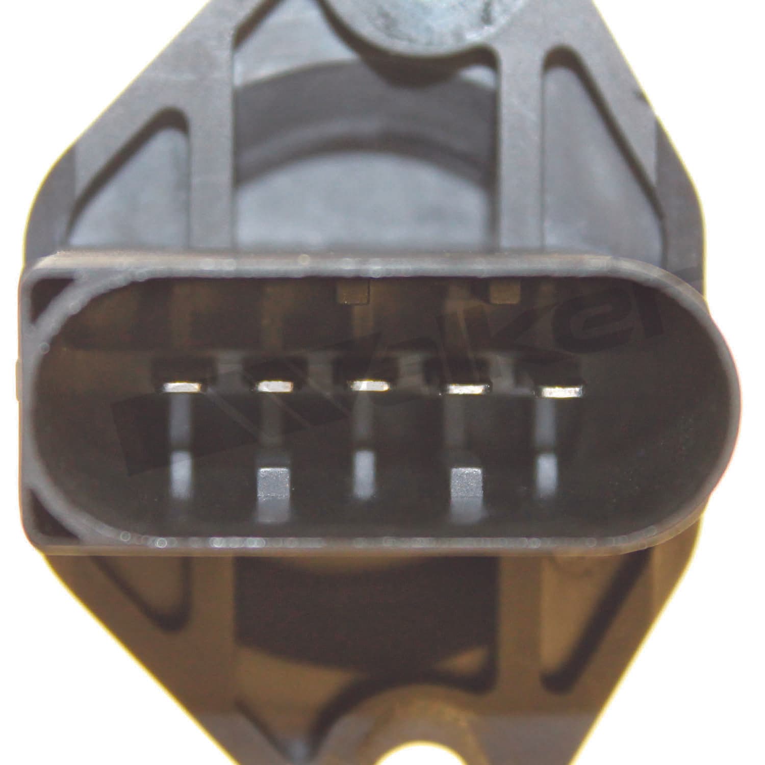 226-245-2226 - Image 3