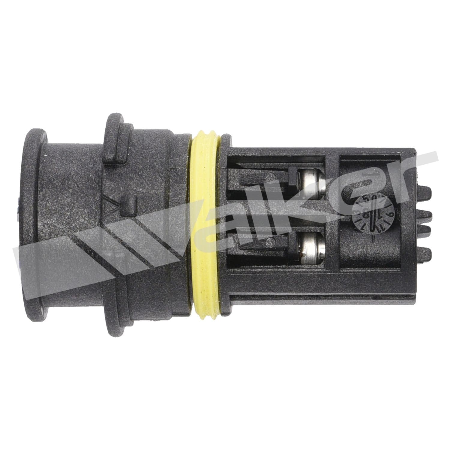 226-250-24466 - Image 2