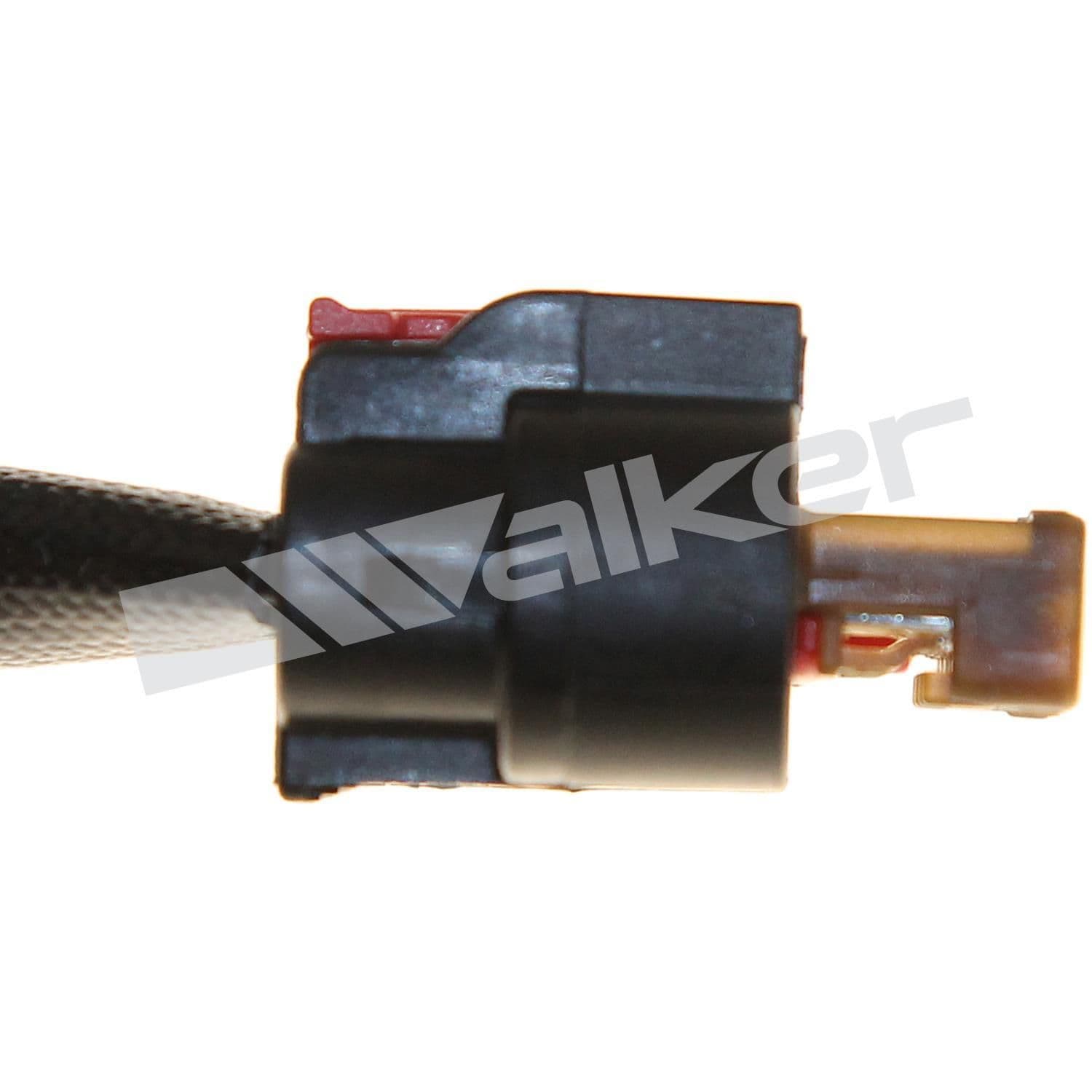 226-250-241184 - Image 3