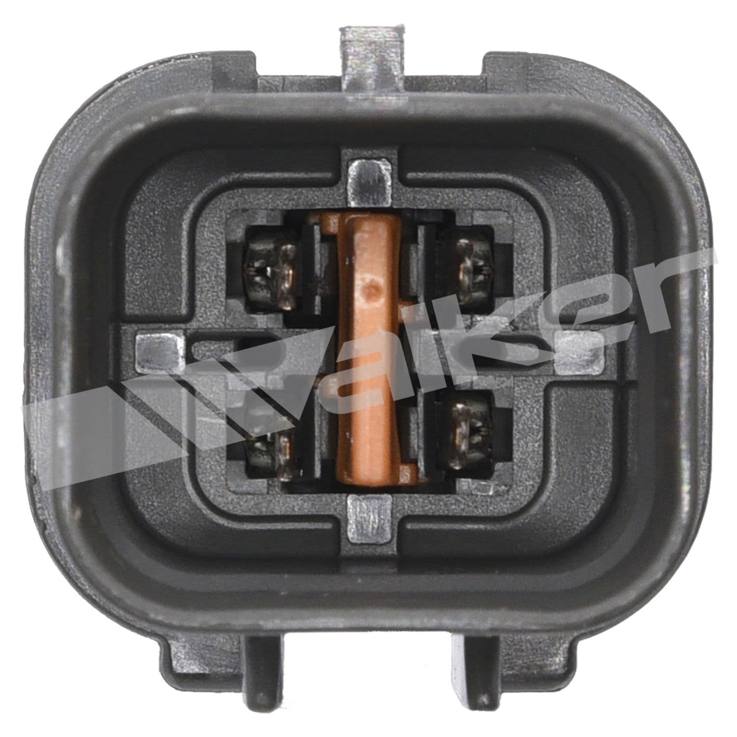 226-250-24658 - Image 4