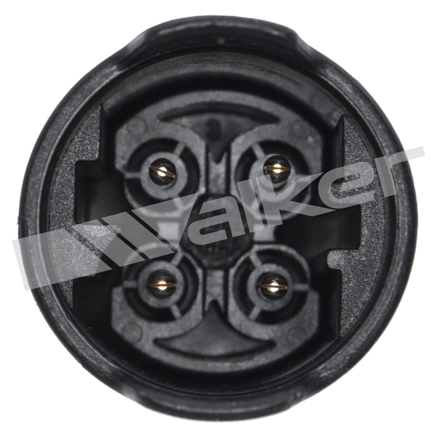 226-250-24392 - Image 4