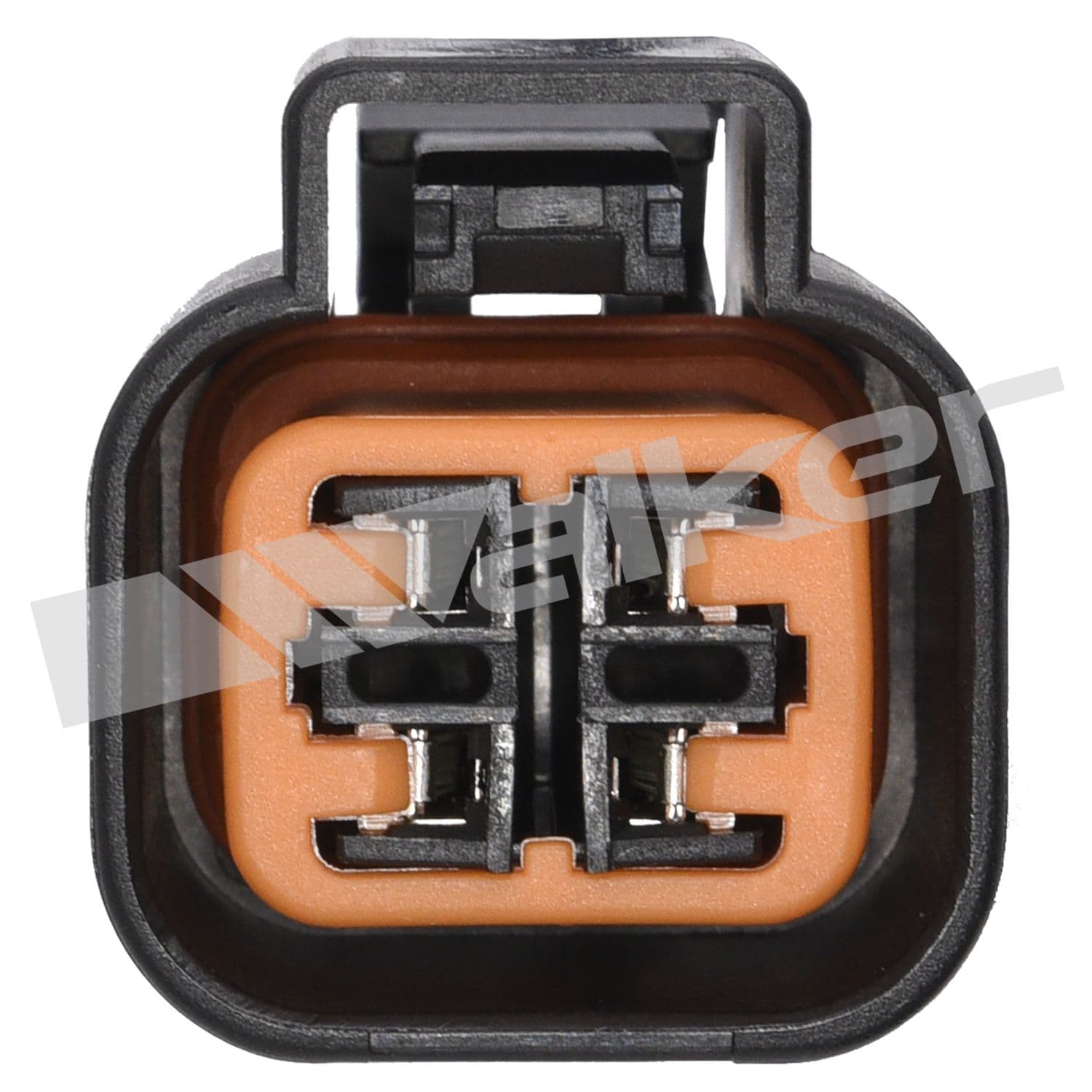 226-250-24349 - Image 3