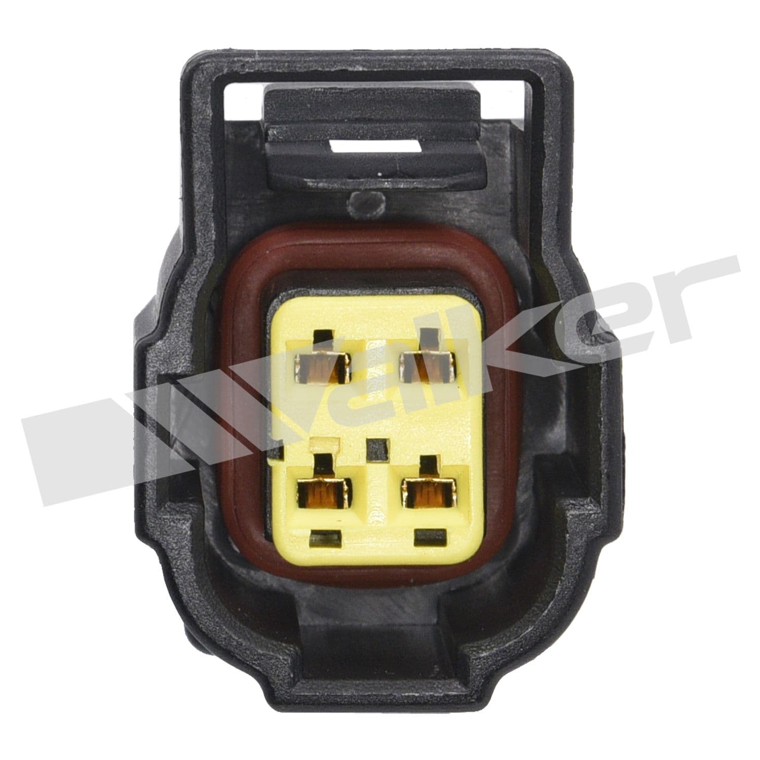 226-250-24751 - Image 3