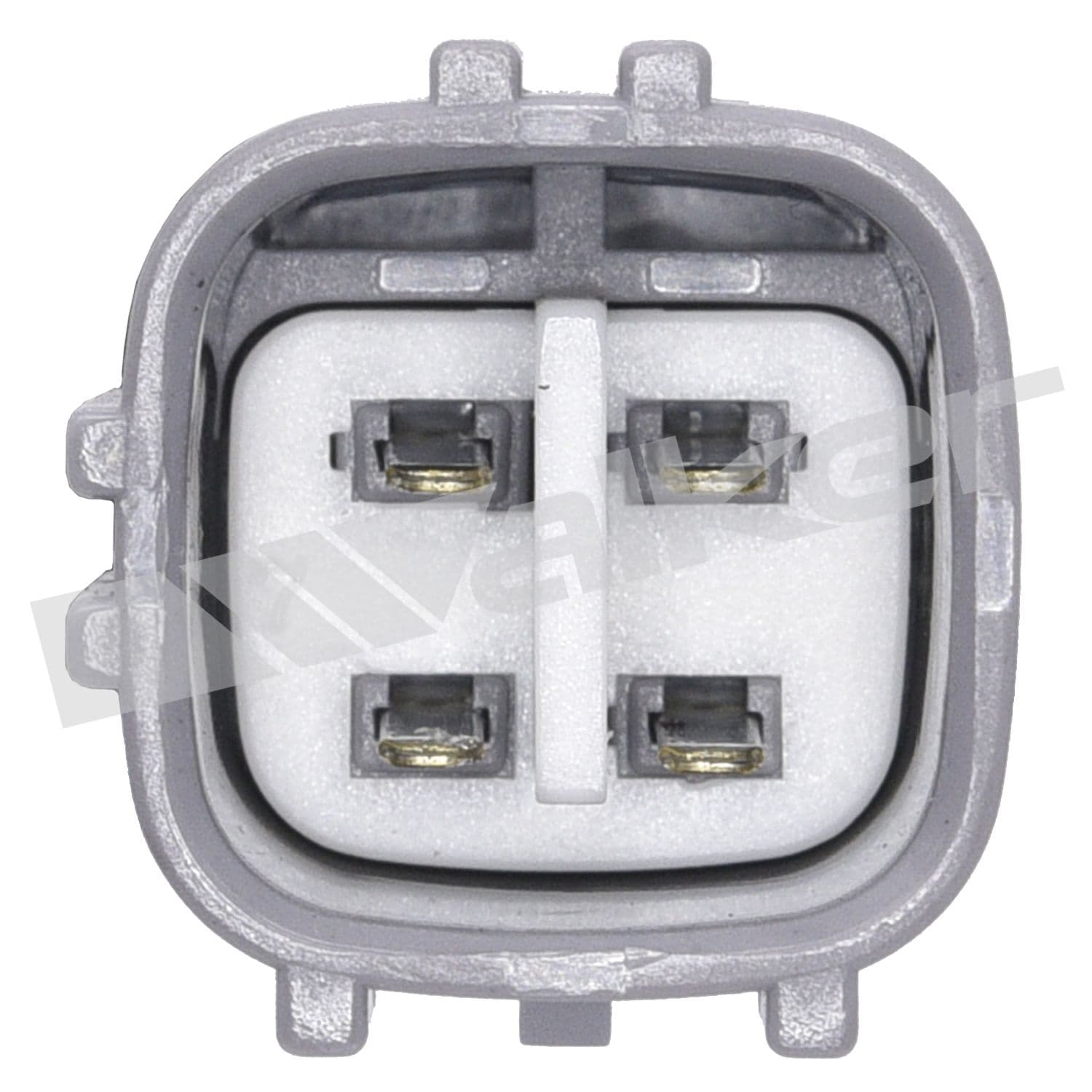 226-250-24154 - Image 4