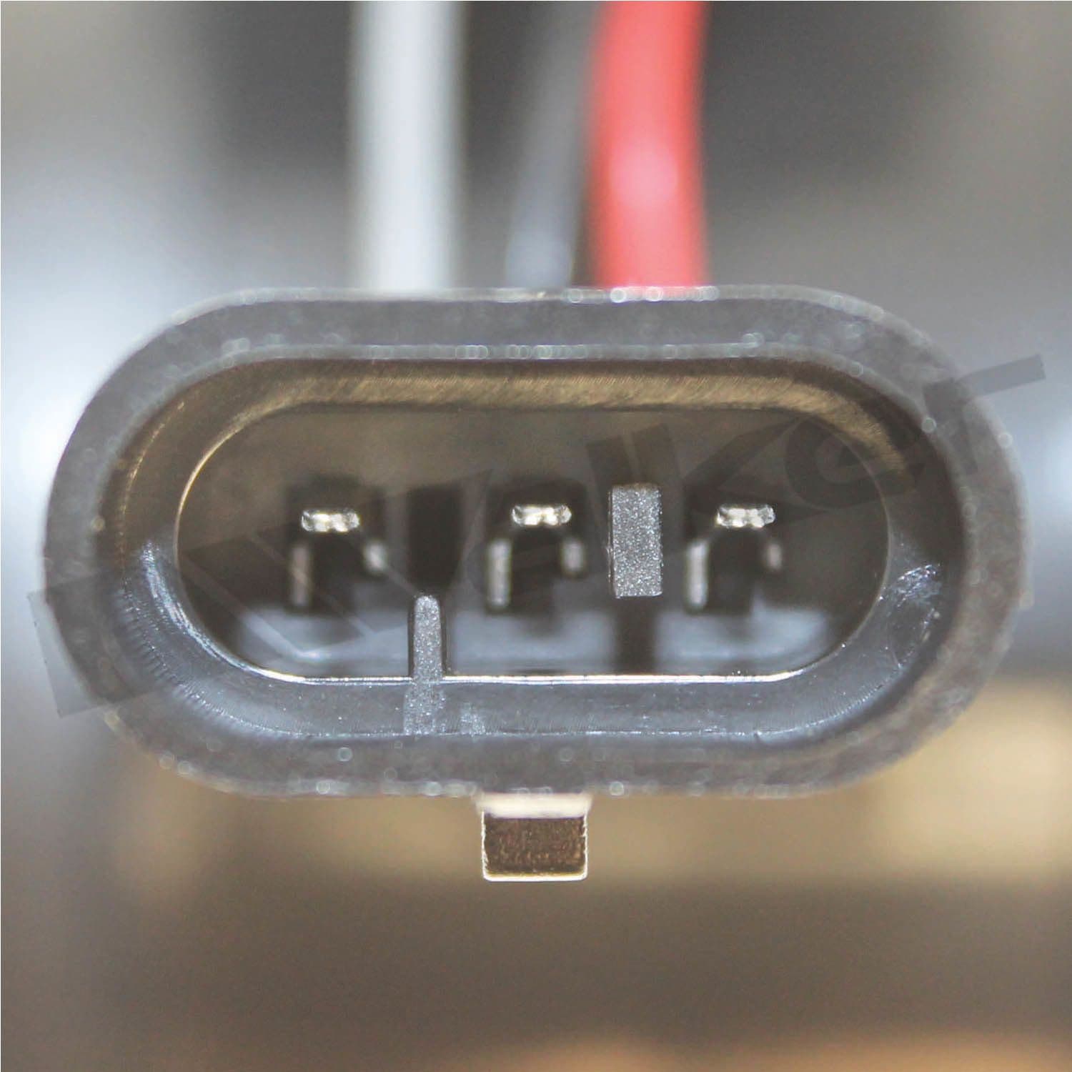 226-245-1167 - Image 4