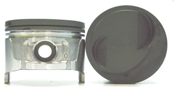 category-646-SP114AR/L-S