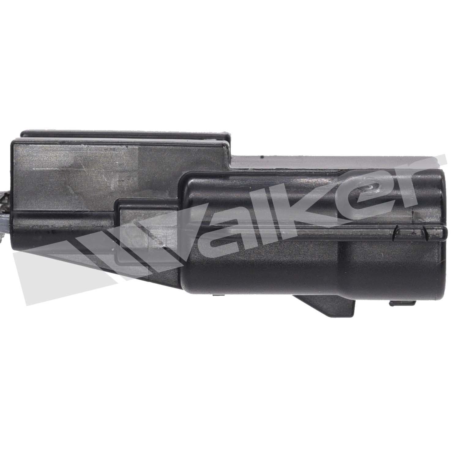 226-250-241255 - Image 3