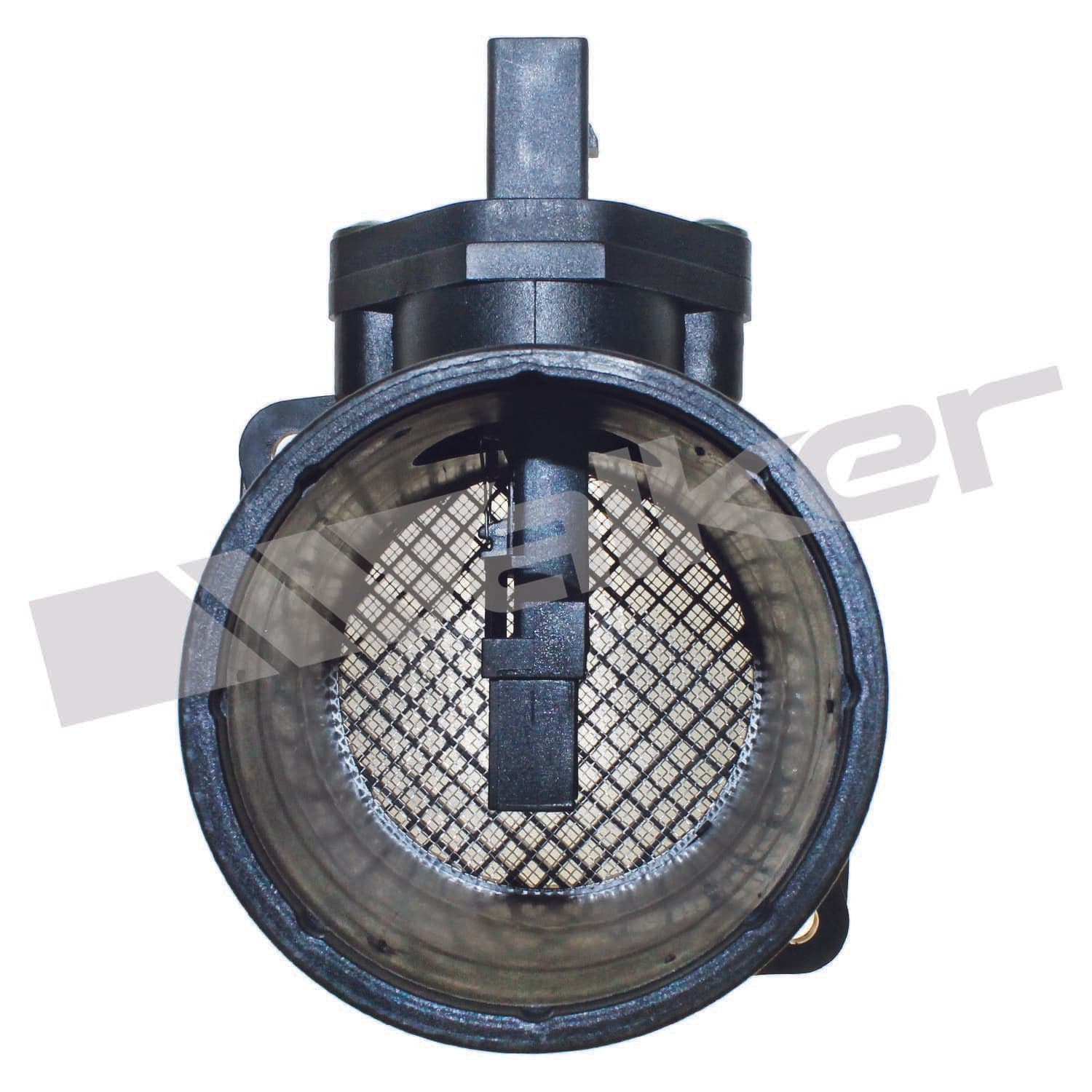 226-245-1106 - Image 2