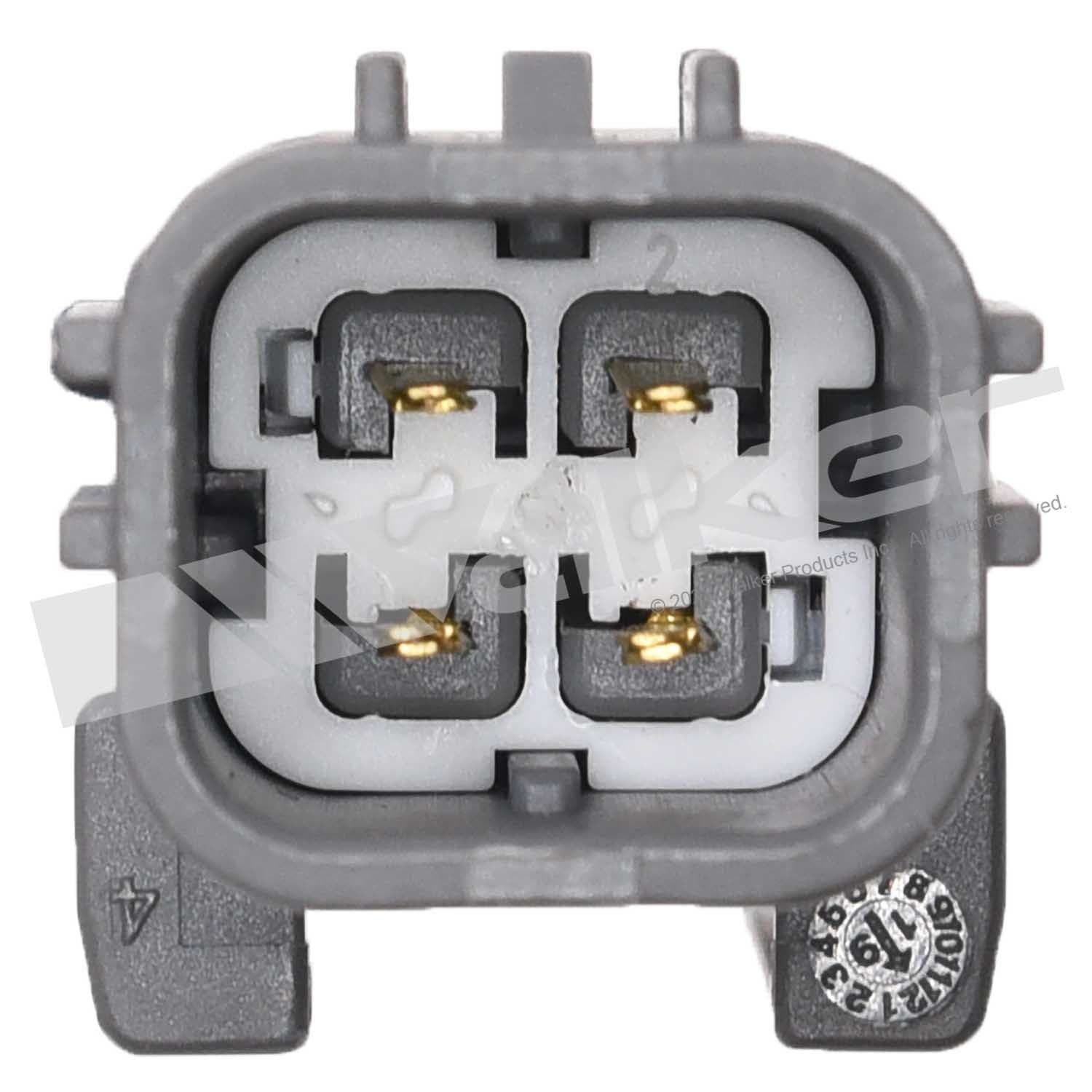 226-250-241308 - Image 2